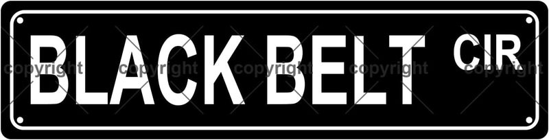 Aeontinity BLACK BELT CIR Sports Metal Tin Street Sign Bar Cafe Garage Cave Home Room Wall Bathroom Farmhouse Garden Porch Patio Decor, 16 x 4 Inch - Image 1
